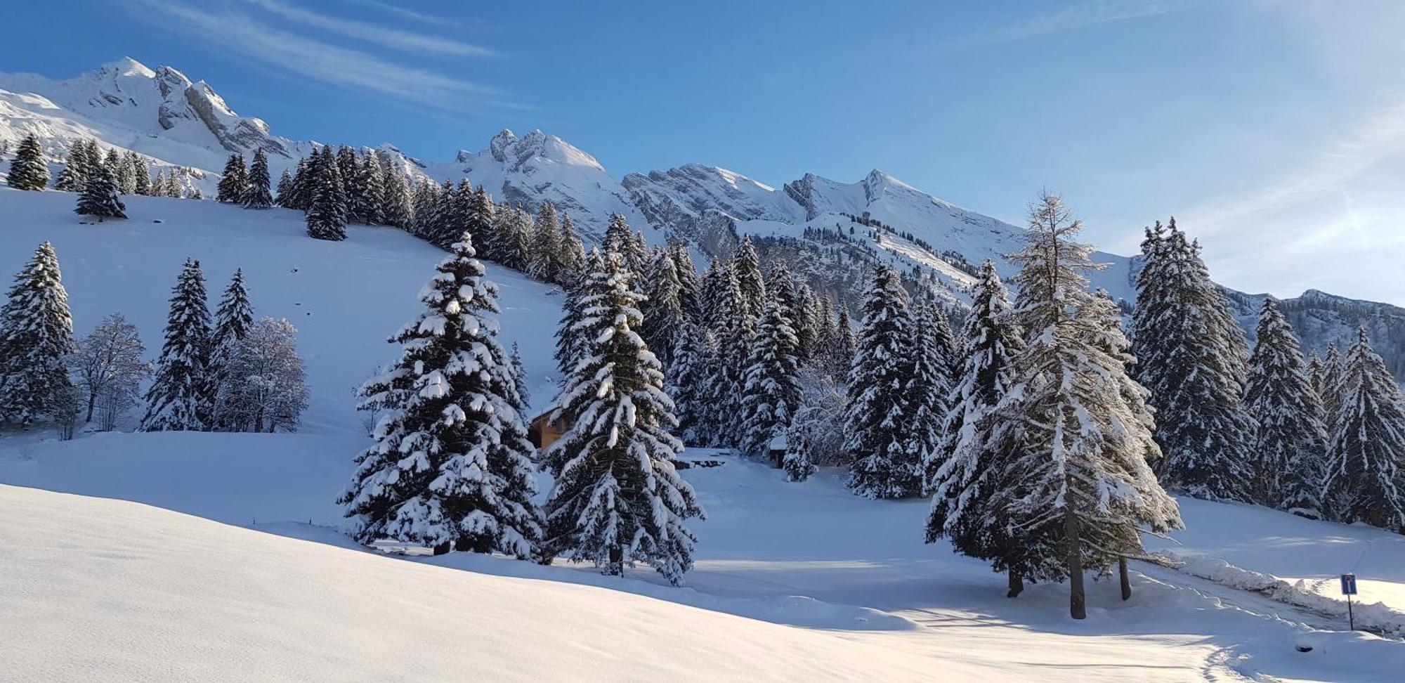 Appartement Cosy Face Aux Aravis Le Grand-Bornand Exterior photo